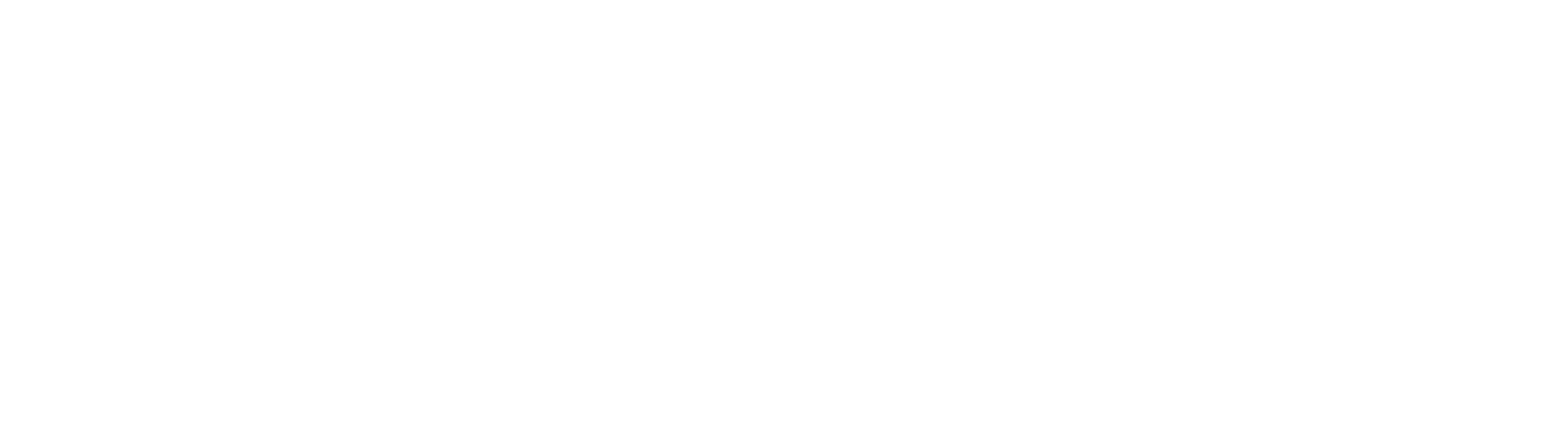 autoindustriale_mobility_group_logo-white