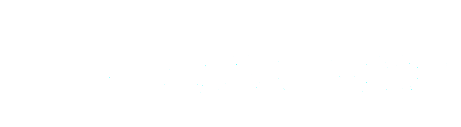 edison next logoneg